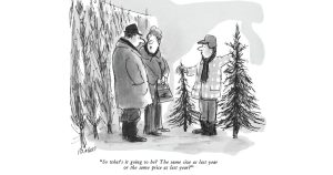 2025 Review by Andy Killion